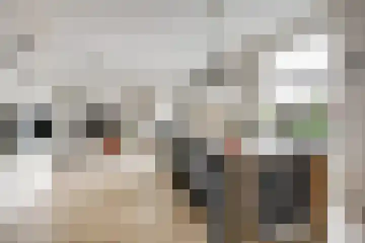 Timmerliedengilde 86 Dronten thumbnail 11