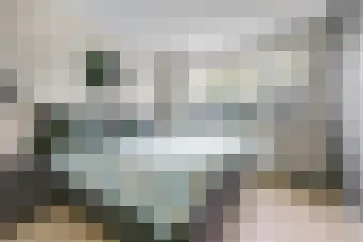 Timmerliedengilde 86 Dronten thumbnail 16