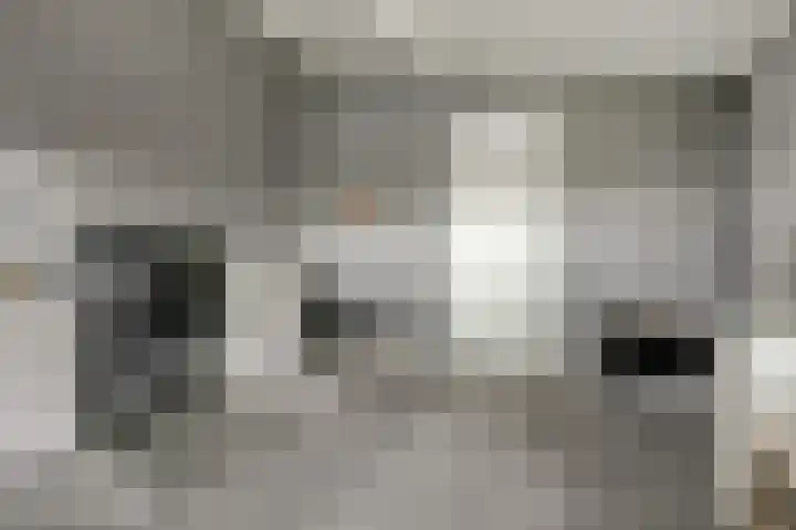 Timmerliedengilde 86 Dronten thumbnail 25