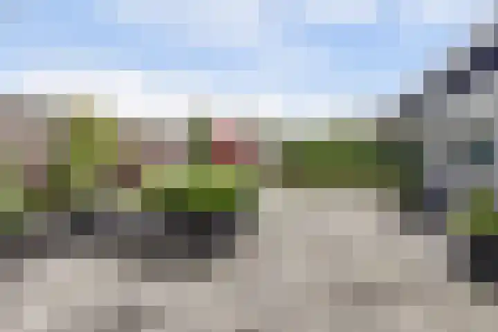 Timmerliedengilde 86 Dronten thumbnail 32