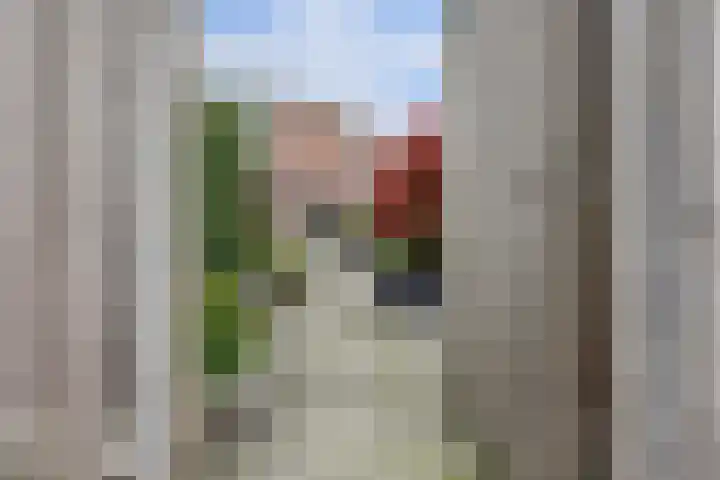 Timmerliedengilde 86 Dronten thumbnail 33