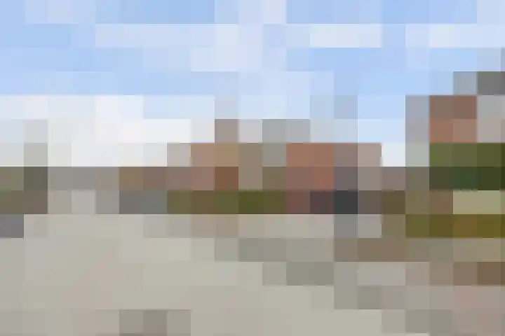 Timmerliedengilde 86 Dronten thumbnail 34