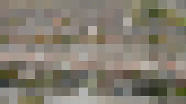 Timmerliedengilde 86 Dronten thumbnail 36