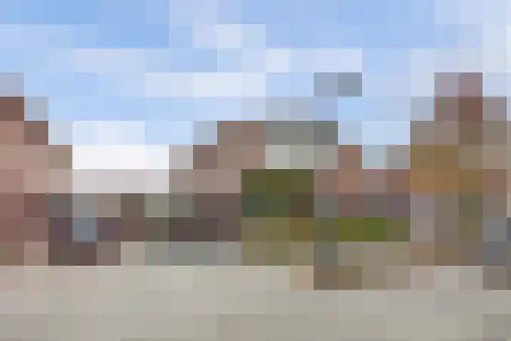Timmerliedengilde 86 Dronten thumbnail 38