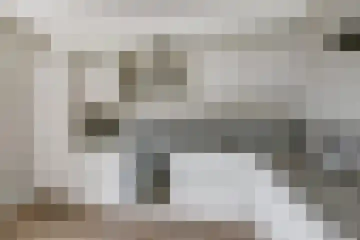 Timmerliedengilde 86 Dronten thumbnail 4