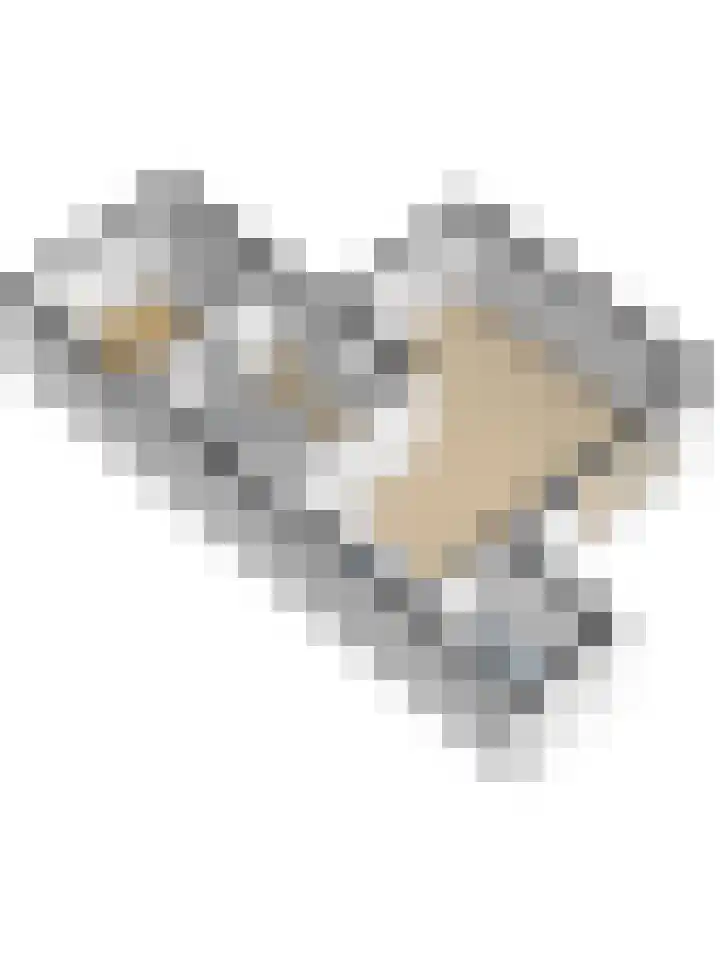 Timmerliedengilde 86 Dronten thumbnail 43