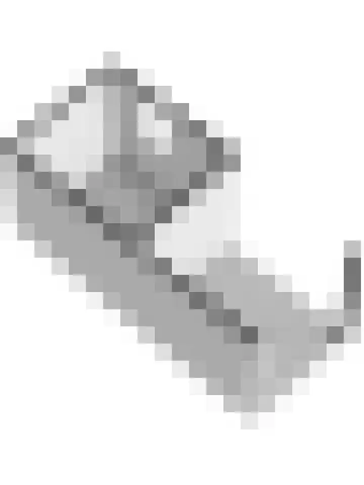 Timmerliedengilde 86 Dronten thumbnail 47