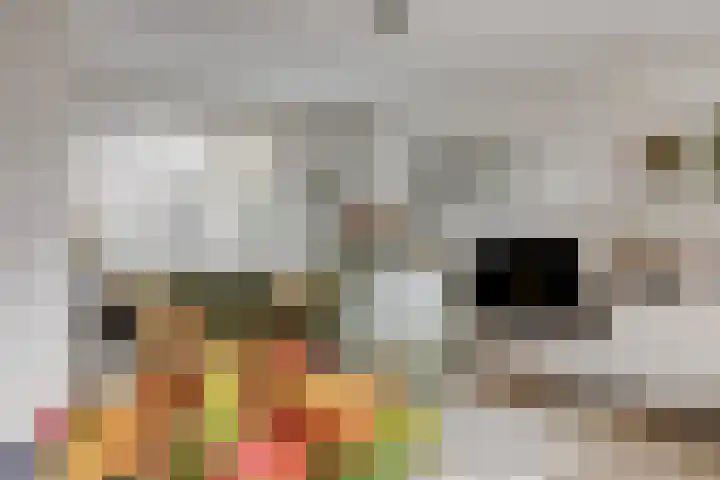 Timmerliedengilde 86 Dronten thumbnail 6