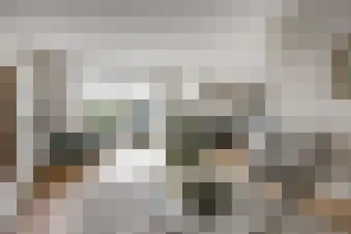 Timmerliedengilde 86 Dronten thumbnail 9