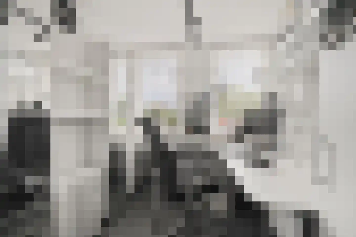 Timmermanlaan 13 Zeist thumbnail 32