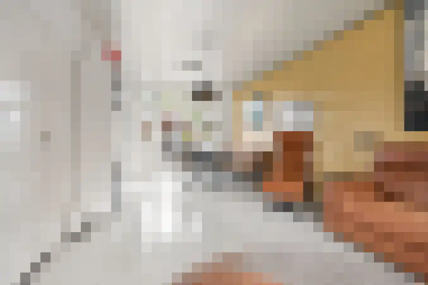 Timmermanlaan 13 Zeist thumbnail 8