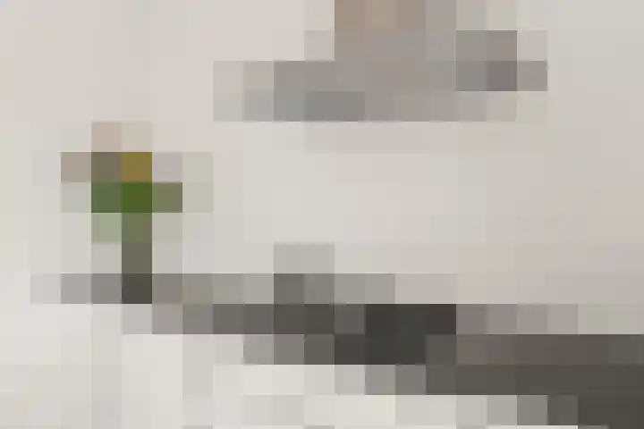 Timmermanlaan 14 B Zeist thumbnail 14