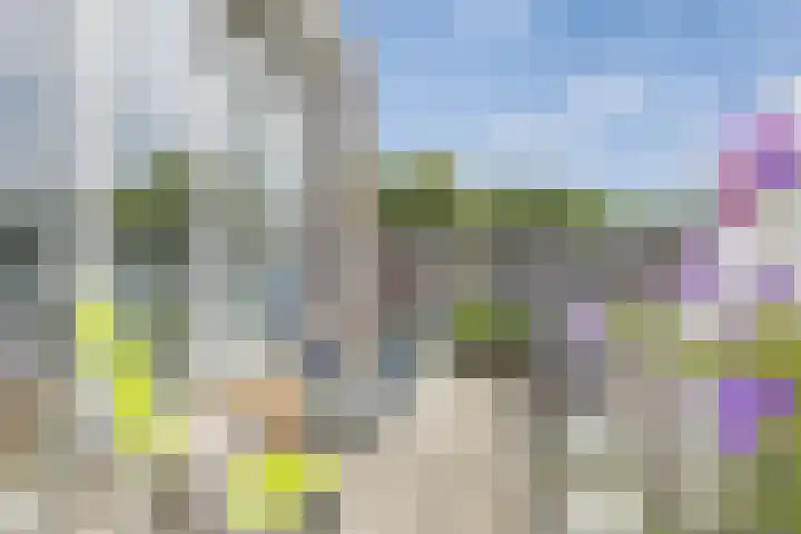 Timmermanlaan 14 B Zeist thumbnail 20