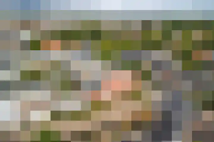 Timmermanlaan 14 B Zeist thumbnail 48