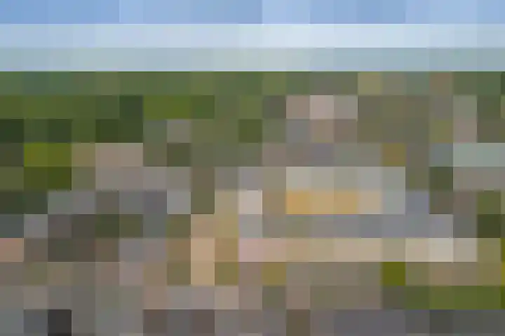 Timmermanlaan 14 B Zeist thumbnail 49