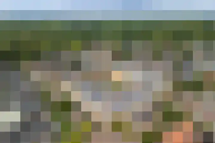 Timmermanlaan 14 B Zeist thumbnail 50