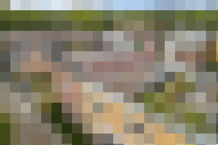 Timmermanlaan 14 B Zeist thumbnail 51