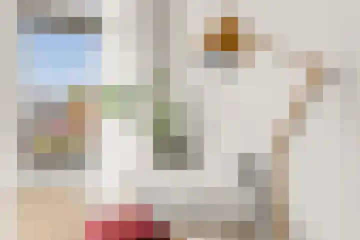 Timmermanlaan 14 B Zeist thumbnail 9