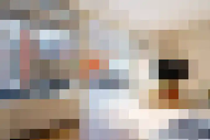 Timmermanlaan 14 Zeist thumbnail 12
