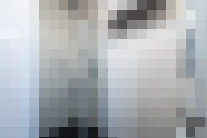 Timmermanlaan 14 Zeist thumbnail 16