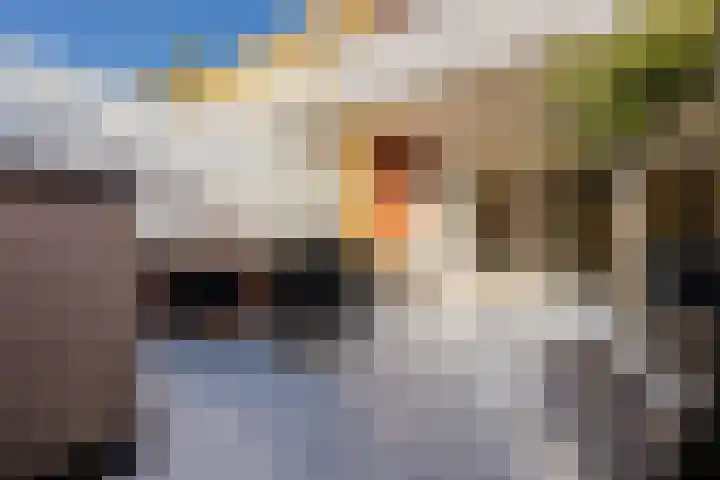 Timmermanlaan 14 Zeist thumbnail 21