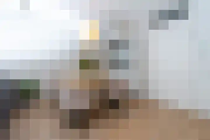 Timmermanlaan 14 Zeist thumbnail 6