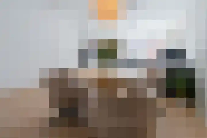 Timmermanlaan 14 Zeist thumbnail 7