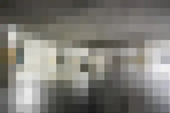 Timmermanlaan 2 B Zeist thumbnail 24