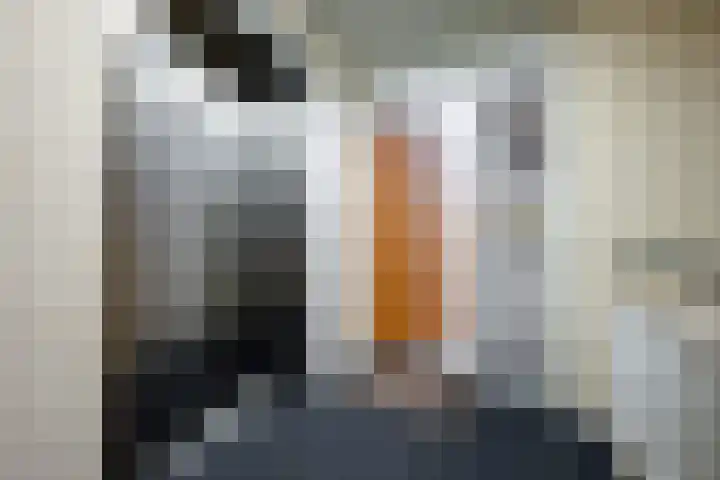 Timmermanlaan 2 B Zeist thumbnail 4
