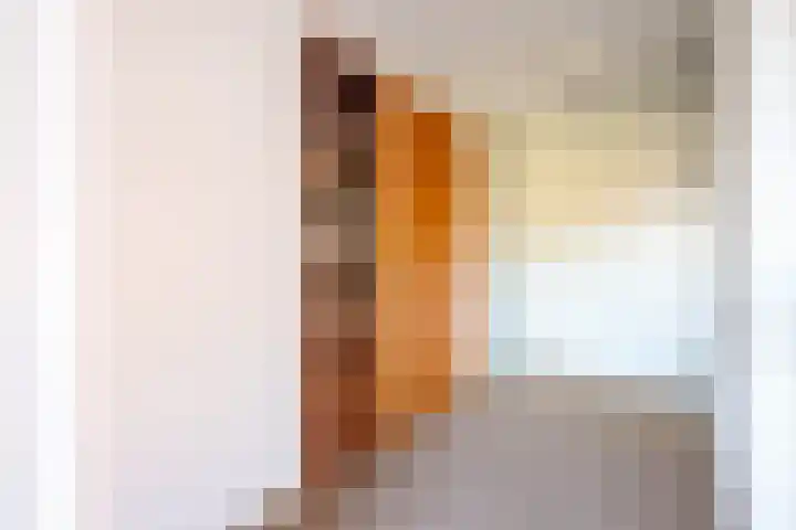 Timmermanlaan 2 B Zeist thumbnail 5