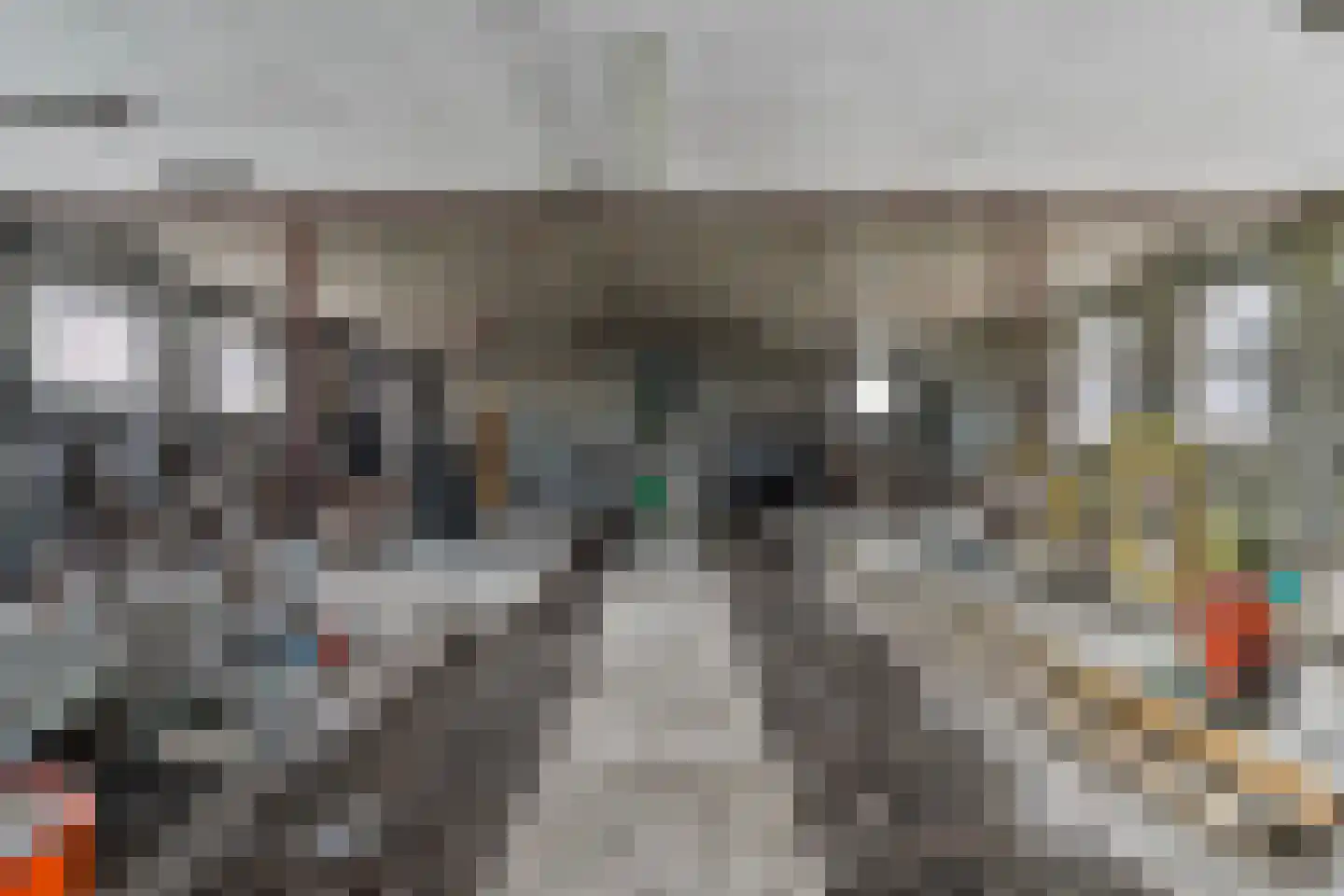 Timmermannsweg 119 Ysselsteyn thumbnail 29