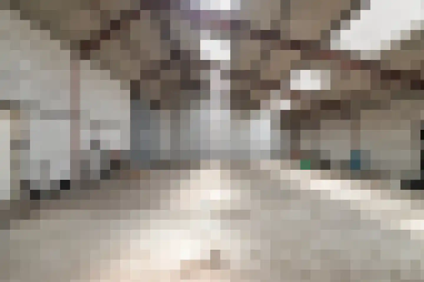 Timmermannsweg 119 Ysselsteyn thumbnail 36