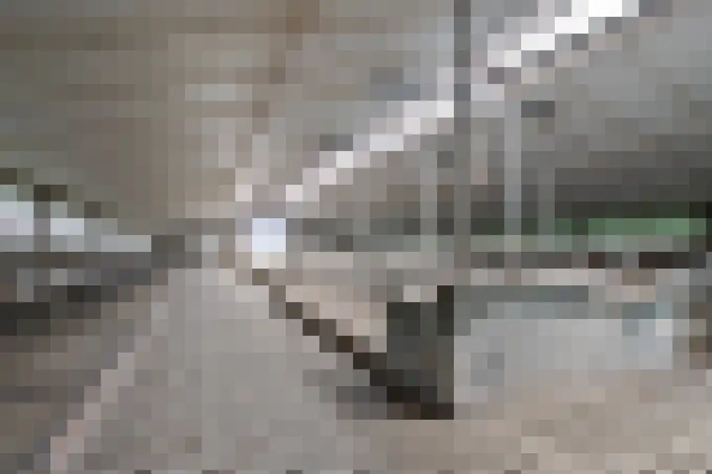 Timmermannsweg 119 Ysselsteyn thumbnail 40