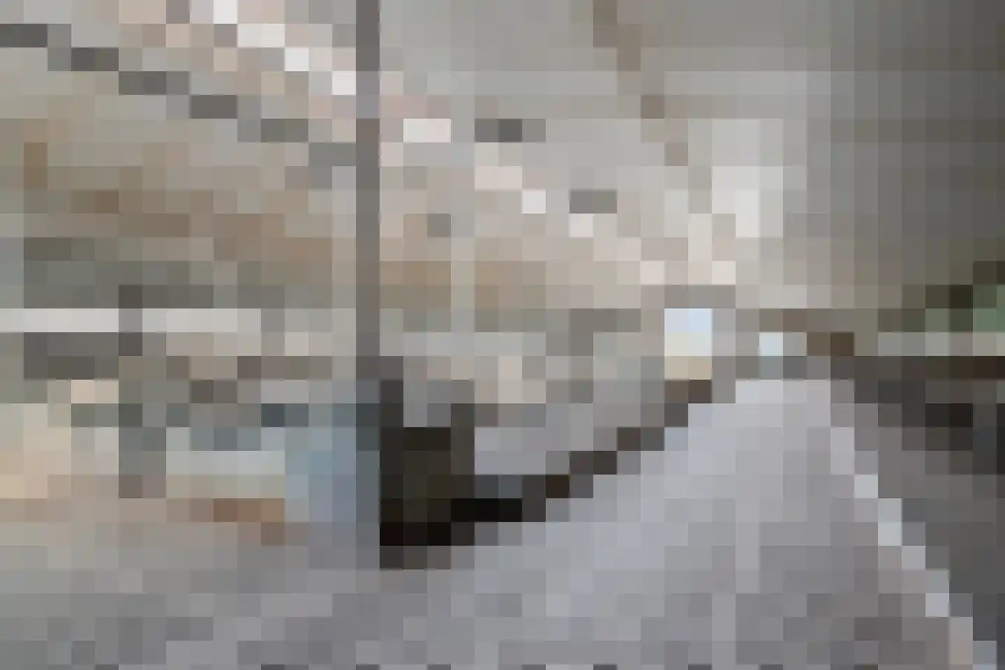 Timmermannsweg 119 Ysselsteyn thumbnail 41