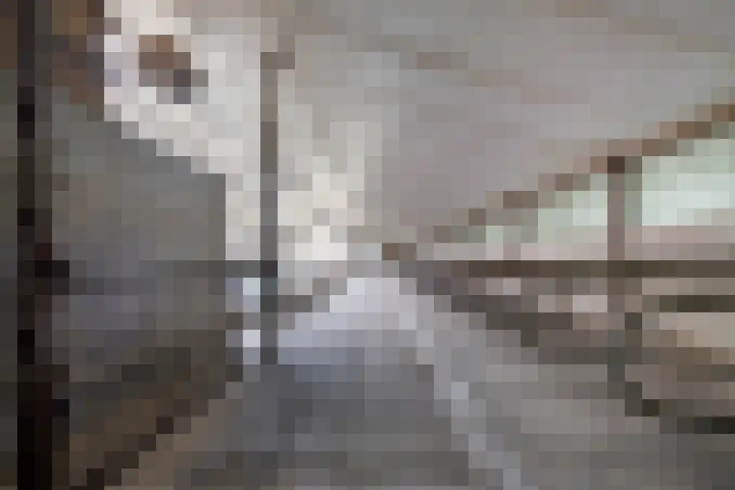 Timmermannsweg 119 Ysselsteyn thumbnail 42