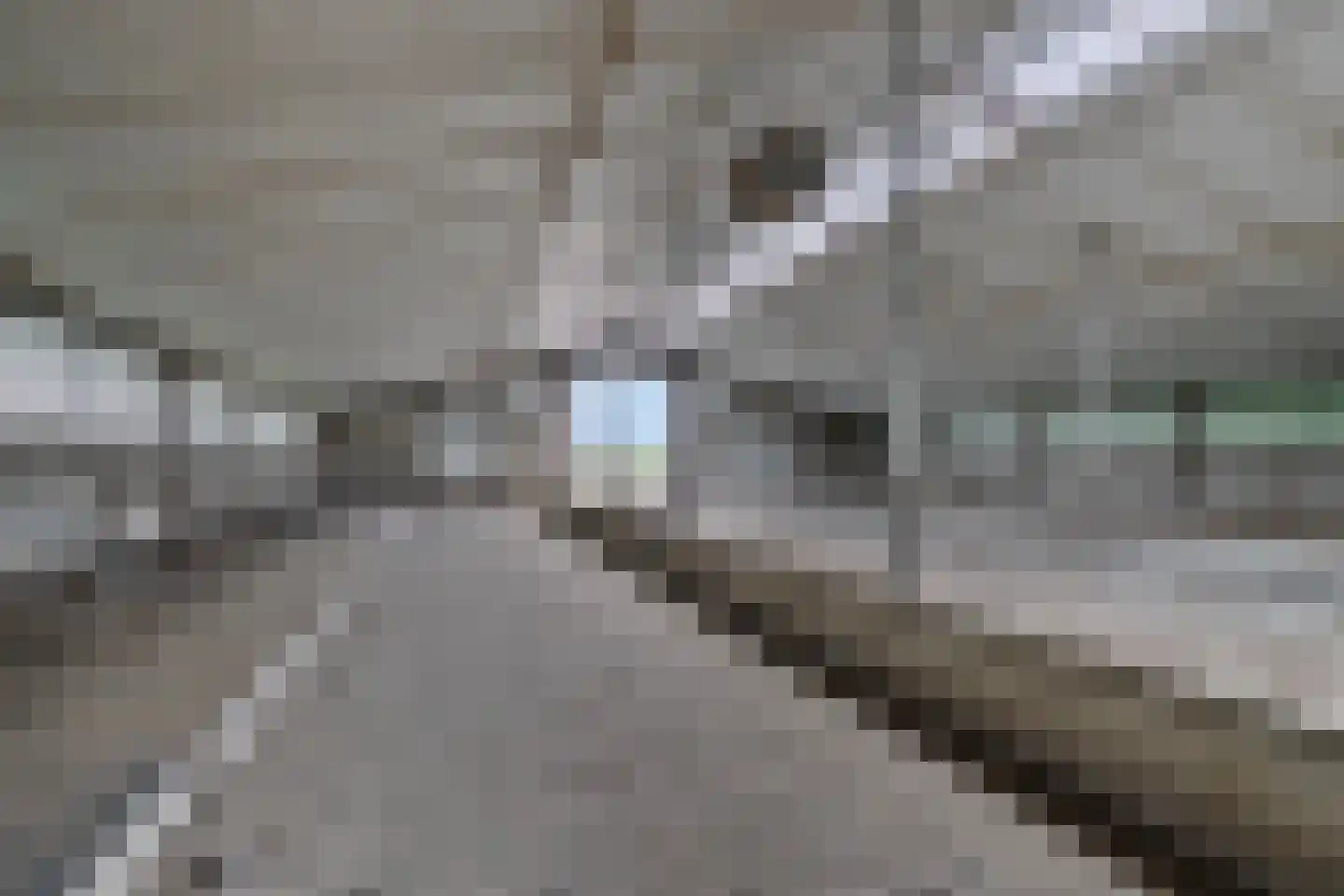 Timmermannsweg 119 Ysselsteyn thumbnail 43