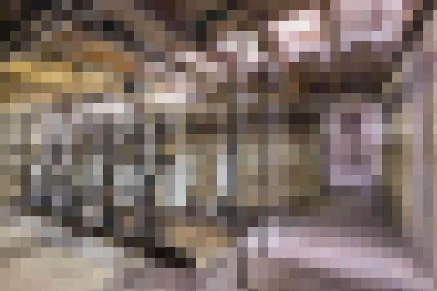 Timmermannsweg 119 Ysselsteyn thumbnail 45
