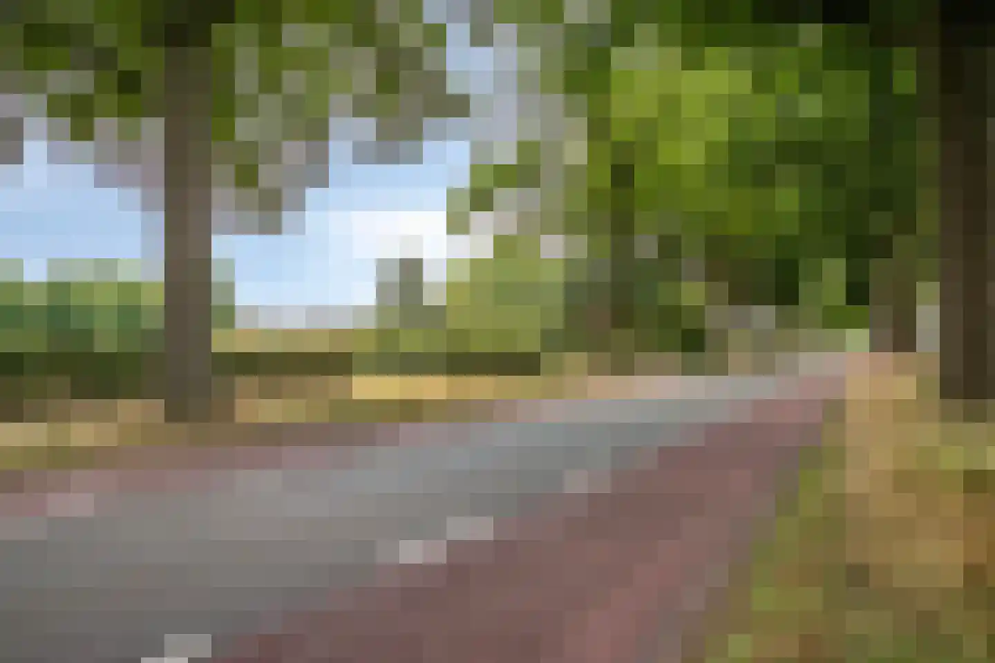 Timmermannsweg 119 Ysselsteyn thumbnail 56