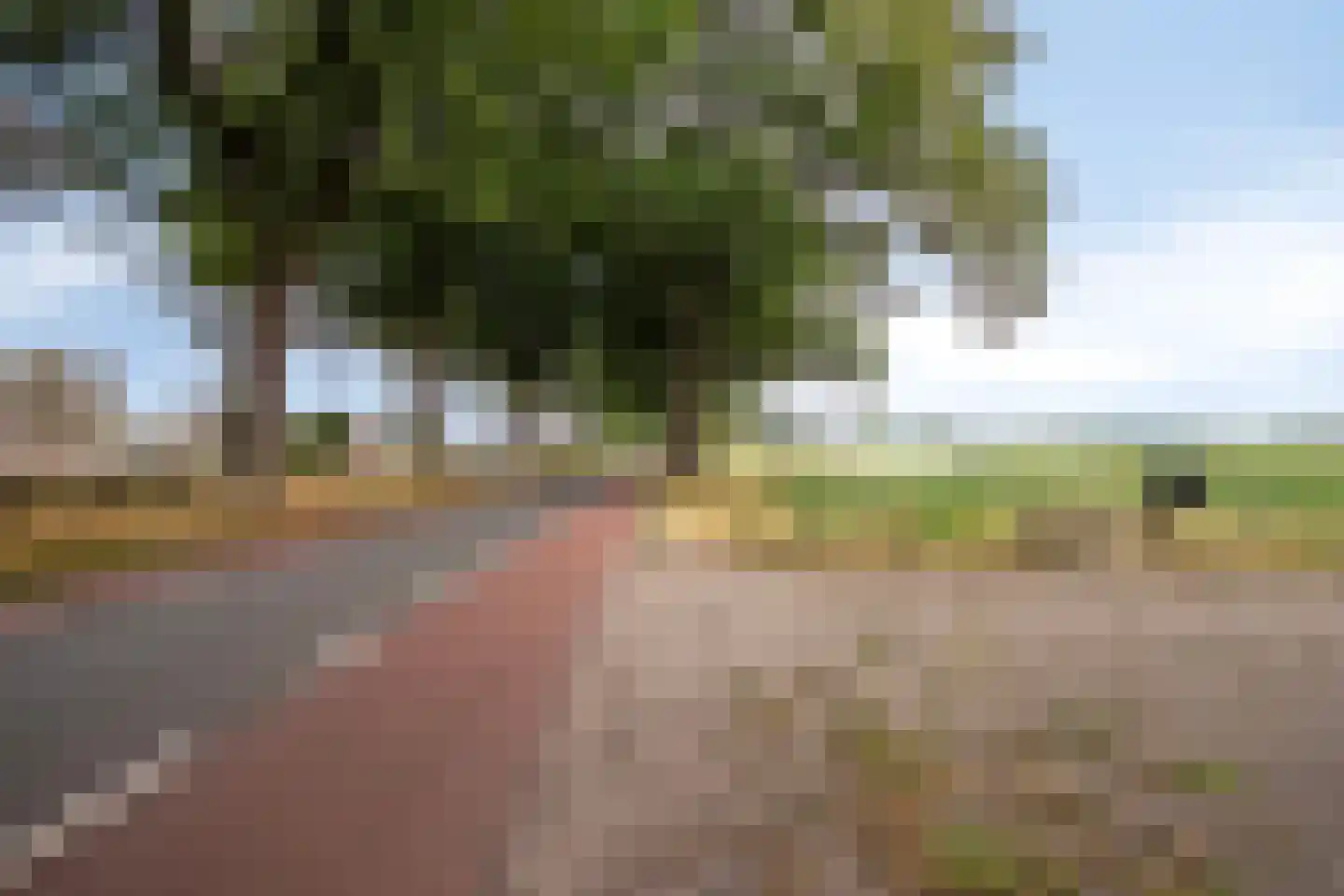 Timmermannsweg 119 Ysselsteyn thumbnail 57