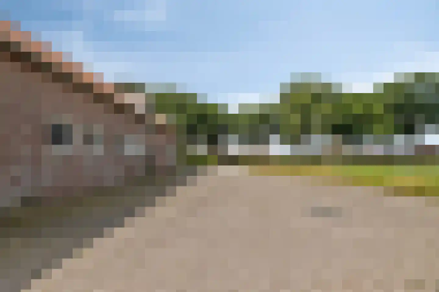 Timmermannsweg 119 Ysselsteyn thumbnail 6