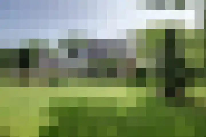 Timmermannsweg 34 Ysselsteyn foto 2