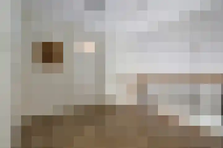 Timmermannsweg 34 Ysselsteyn thumbnail 24