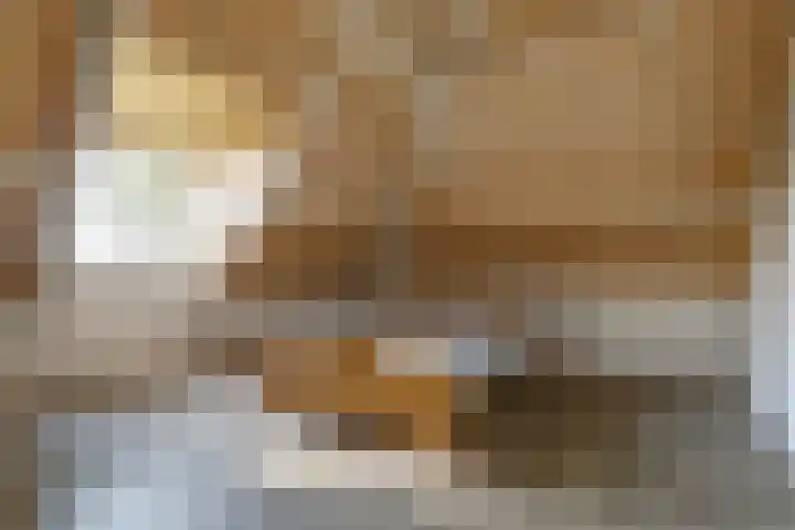 Timmermannsweg 34 Ysselsteyn thumbnail 25