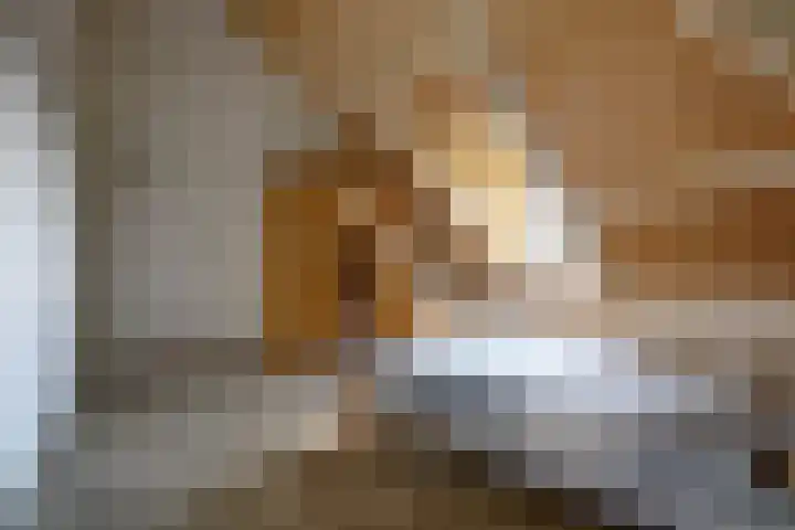 Timmermannsweg 34 Ysselsteyn thumbnail 26