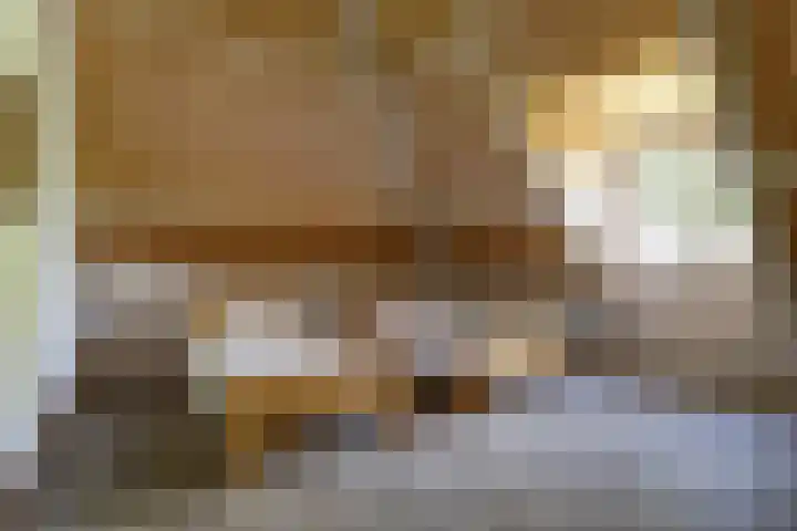 Timmermannsweg 34 Ysselsteyn thumbnail 27