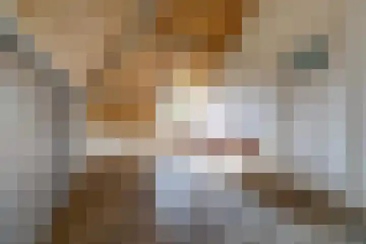 Timmermannsweg 34 Ysselsteyn thumbnail 28