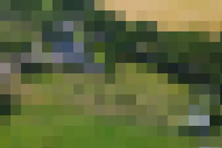 Timmermannsweg 34 Ysselsteyn foto 3