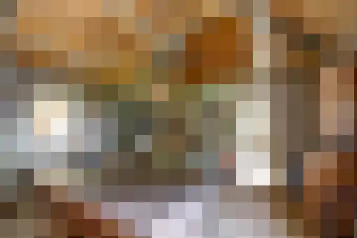 Timmermannsweg 34 Ysselsteyn thumbnail 35