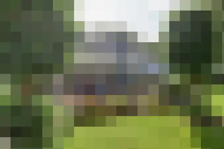 Timmermannsweg 34 Ysselsteyn thumbnail 37
