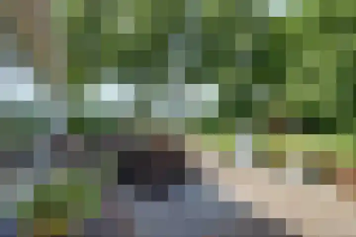 Timmermannsweg 34 Ysselsteyn thumbnail 38